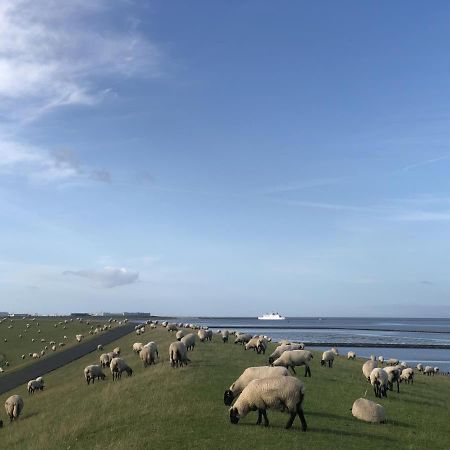נורדייך Wind Und Meer - Traumhaft An Der Nordsee מראה חיצוני תמונה